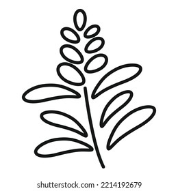 Vector de contorno de icono de bruja de salvia. Planta de hierbas. Flor de hoja