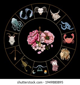 Sagittarius of Astrology design.horoscope circle with signs of zodiac set vector.signs such as a aries, taurus, gemini, cancer, leo, virgo, libra, scorpio, sagittarius, capricorn,aquarius, pisces.
