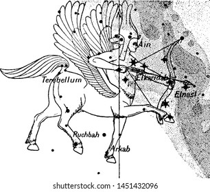 Sagittarius Constellation vintage engraved illustration. 