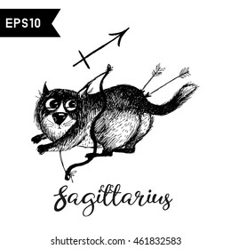 Sagittarius. Vector funny zodiac cats 