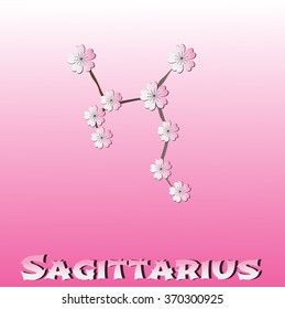 Sagittarius vector Zodiac sign. Paper sakura flowers on pink background.