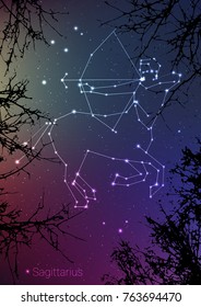 Sagittarius zodiac constellations sign with forest landscape silhouette on beautiful starry sky with galaxy and space behind. Sagittarius horoscope symbol constellation on deep cosmos background.