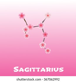 Sagittarius zodiac sign. Sakura flowers. Vector
