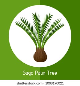 Sago Palm Tree. Illustration Of Exotic Tropical Plant.