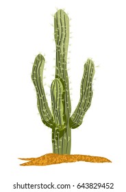 saguaro cactus