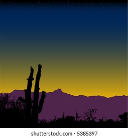 Saguaro cactus desert mountain range at nightfall or dawn.