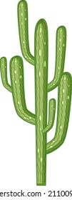 Saguaro cactus isolated on white background illustration