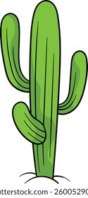Saguaro cactus with multiple tall, green arms and vertical ridges