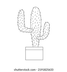 Saguaro or Carnegiea cactus in pot, flat doodle vector outline