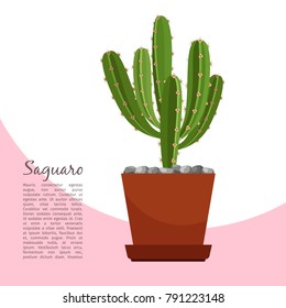 Saguaro indoor plant in pot banner template, vector illustration
