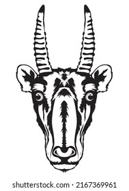 Saiga antelope face vector illustration in decorative style, perfect for tshirt style and mascot logo