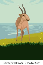 The saiga antelope in the green savanna and behind it is the river