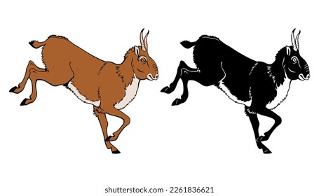 Saiga Antelope. Vector color clipart and silhouette isolated on white.