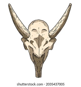 Saiga fossilized skull hand drawn sketch image. Horned antelope animal bones fossil illustration drawing. Vector stock outline silhouette