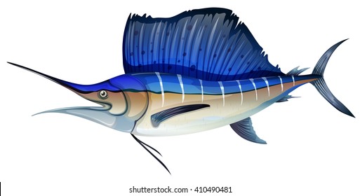 Sailfish marlin vector illustration