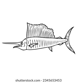 sailfish sketch vector illustration,isolated on white background,top view