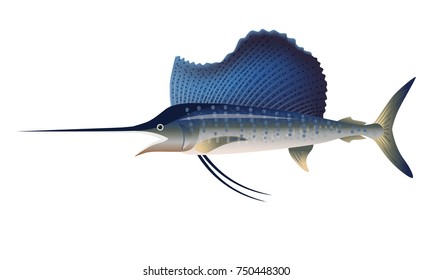 Sailfish. Vector illustration isolated on the white background