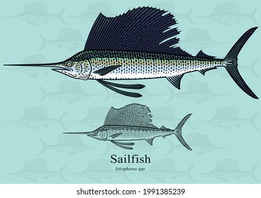 Sailfish. Vector illustration with refined details and optimized stroke that allows the image to be used in small sizes (in packaging design, decoration, educational graphics, etc.)