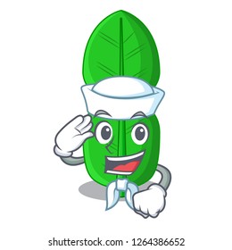 Sailor bergamot lime leaf isolated on mascot