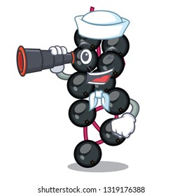 Sailor with binocular elderberry in the shape of mascot