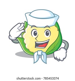 Sailor cauliflower character cartoon style