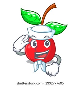 Sailor cherry fruit in a mascot basket