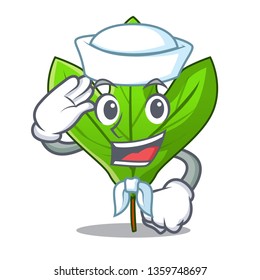 Sailor sassafras leaf isolated in the character