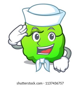 Sailor shrub character cartoon style