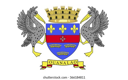 Saint Barthelemy flag