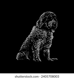 saint berdoodle hand drawing vector isolated on black background.