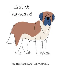 San Bernardo. Personajes de dibujos animados de perros adorables. Diseño de forma plana y trazo de línea. Ilustración del vector.