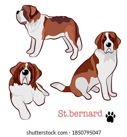 Saint Bernard dog breed collection, Vector illustration of playful cartoon dogs on different poses. Isolated on white.