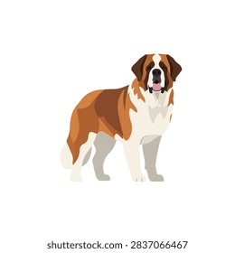 Saint Bernard dog flat vector illustration, large breed pet isolated on white background
