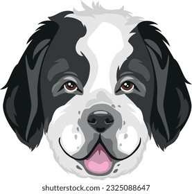 Saint Bernard head isolated on white. Vector
