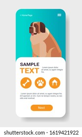 saint bernard icon cute dog furry human friend pet website or online shop cartoon animal smartphone screen mobile app copy space vertical vector illustration