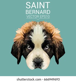 Saint Bernard low poly design.Vector Illustration.