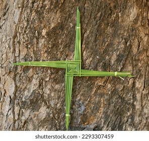 A Saint Brigid's cross made from green rushes, in vector format. svg