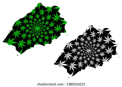 Saint Helena - map is designed cannabis leaf green and black, Saint Helena map made of marijuana (marihuana,THC) foliage,