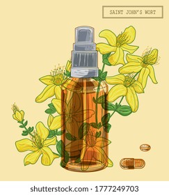 Saint Johns wort flowers and brown glass sprayer and pills, hand drawn botanical illustration in a trendy modern style