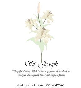 Saint Joseph Lily, poster quote, wall art decor, Catholic gift printable isolated on white background. The white lily represents the virtue of chastity. Joseph was the father of Jesus on Earth.