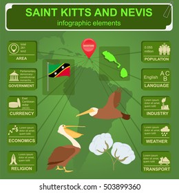 Saint Kitts and Nevis infographics, statistical data, sights. Brown pelican, cotton flower, national symbol. Vector illustration