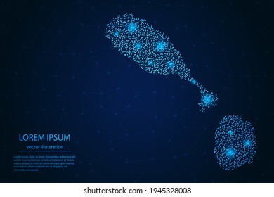 Mapa de Saint Kitts y Nevis desde estrellas azules y brillantes en un fondo oscuro. Vector eps 10.