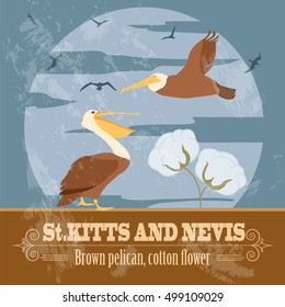 Saint Kitts and Nevis national symbols. Brown pelican, cotton flower. Retro styled image. Vector illustration