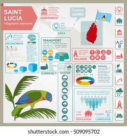 Saint Lucia infographics, statistical data, sights. Amazona versicolor parrot, national symbol. Vector illustration