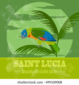 Saint Lucia national symbols. Amazona versicolor parrot. Retro styled image. Vector illustration