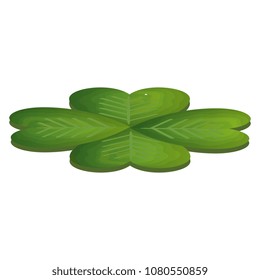 saint patrick clover icon