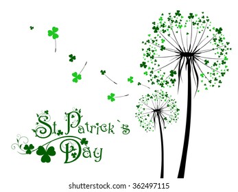 Saint Patrick Day Dandelions Over White