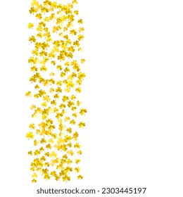 Saint patricks day background with shamrock. Lucky trefoil confetti. Glitter frame of clover leaves. Template for gift coupons, vouchers, ads, events. Decorative saint patricks day backdrop.