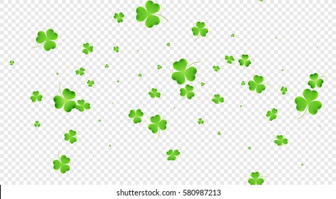 Saint Patrick's Day banner. Clover flying leaves background. Three leaf clover leaves.