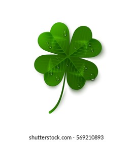 Saint Patrick's Day four leaf clover with dew drops isolated on white background. Holiday 3d icon. Vector illustration. Lucky and success symbol.